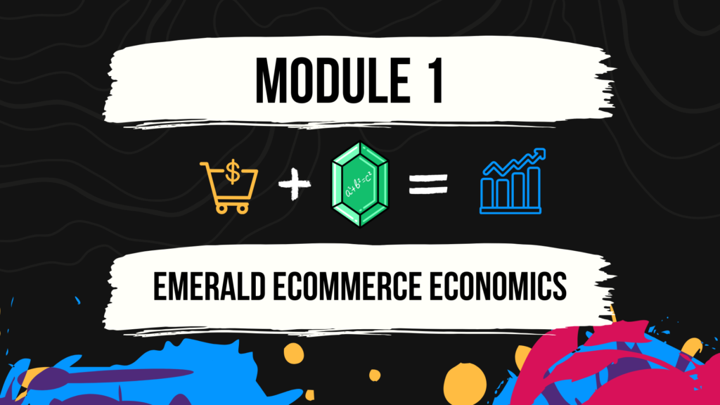 module 1 - Emerald Ecommerce Economics